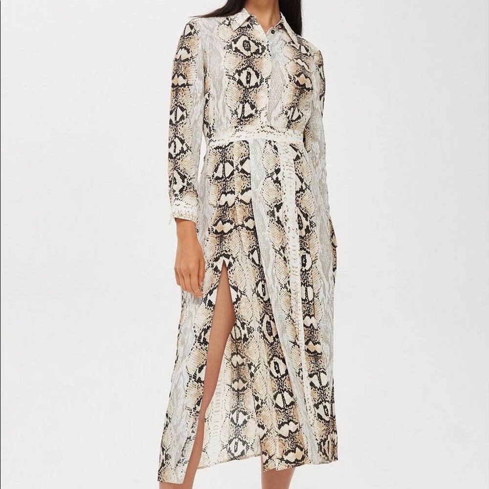 Topshop snakeskin button down dress